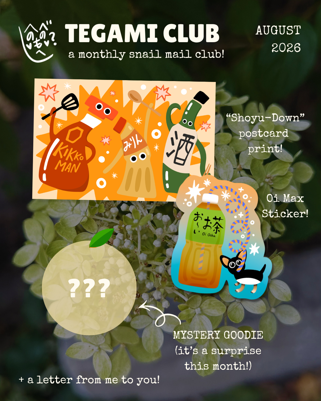 Tegami Club – Monthly Snail Mail Club