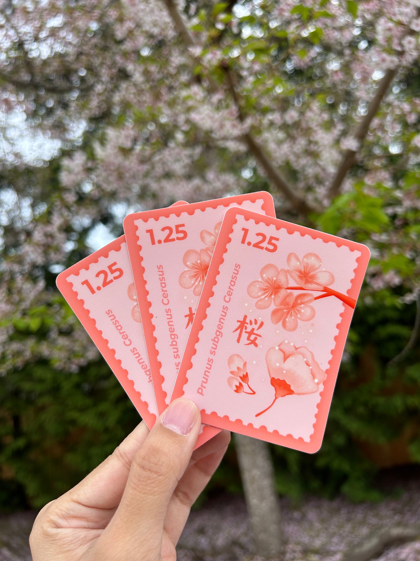 Sakura Postage Stamp Sticker
