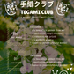 Tegami Club – Monthly Snail Mail Club